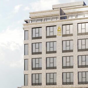 مشروع T113